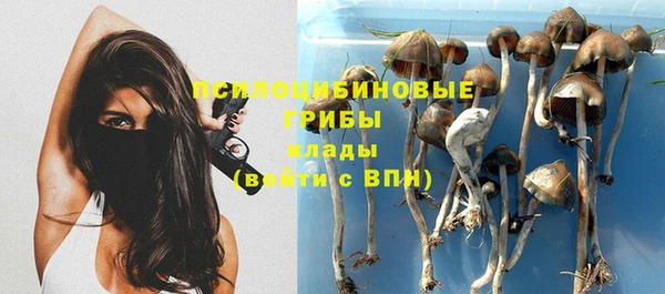 метамфетамин Алексеевка