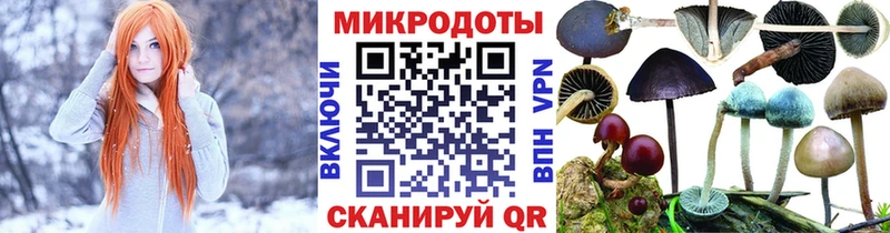 наркота  Кропоткин  нарко площадка наркотические препараты  Псилоцибиновые грибы ЛСД 