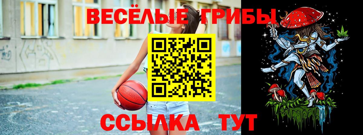 Галлюциногенные грибы GOLDEN TEACHER  Вход с VPN  Кропоткин 